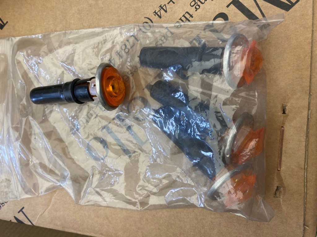 Lampe répétitrice d'aile 