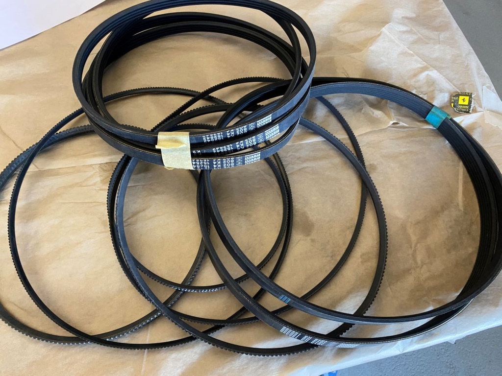 Courroie d'alternateur 