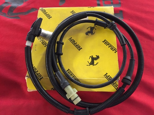 Rear Sensor 